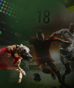 Betlabel Assicurazione Accumulatore